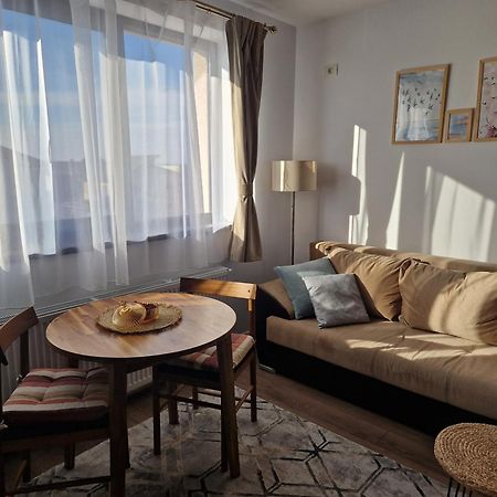 Craitelor Boutique Airport Apartment Otopeni Zewnętrze zdjęcie
